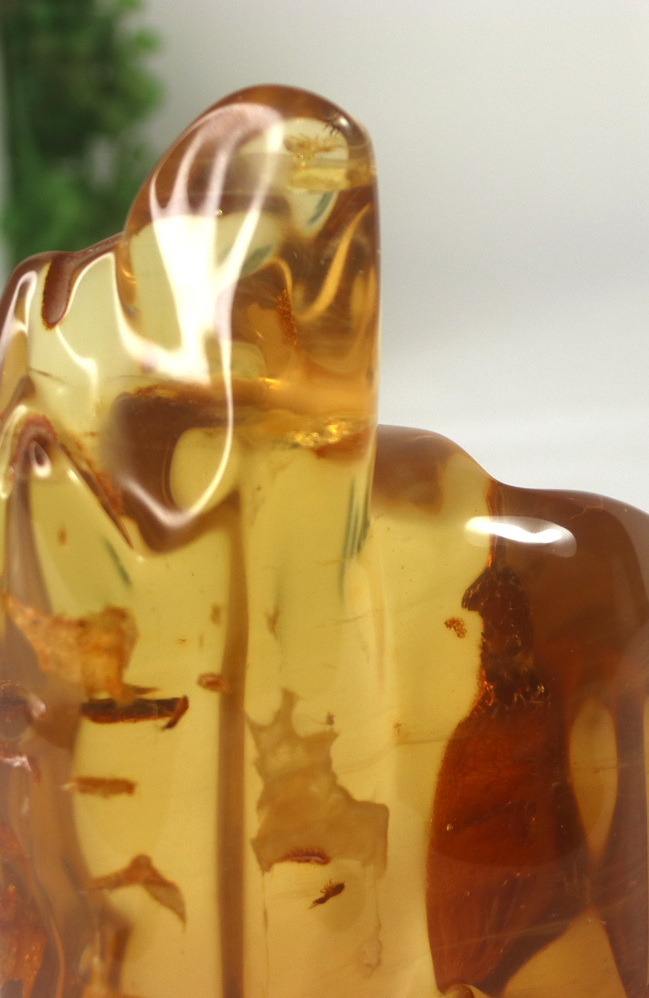 Amber Piece with insects